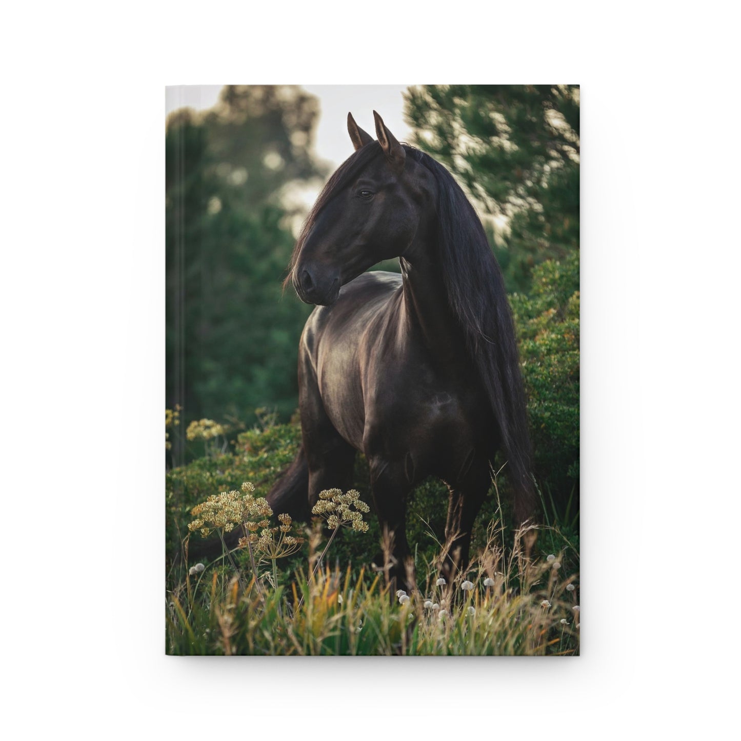 Real Kladrubian Horse Photograph Soft-Touch Matte Hard Cover Journal